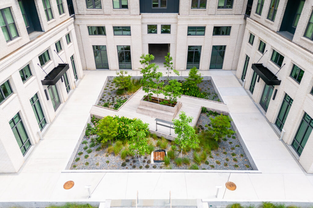 Image showcasing Rooftop Gardening 101: How to Make Your Rooftop Landscaping a Place to ...